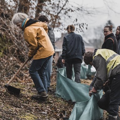 Un groupe de volontaire occupés à installer un barrage à batraciens sur le bord de la route