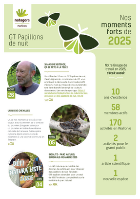 GT Papillons de nuit