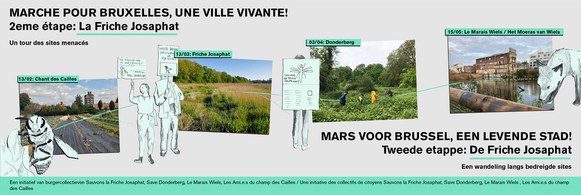 Crédit photo : tuiniers forum des jardiniers Crédit photo : tuiniers forum des jardiniers
