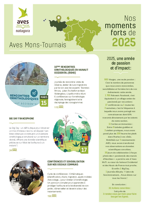 Aves Mons-Tournai