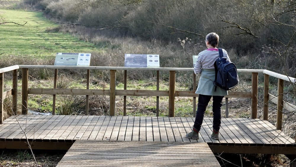 Une personne de dos sur un ponton en bois agrémenté de panneaux didactiques. En second plan, une prairie humide et une lisière de forêt